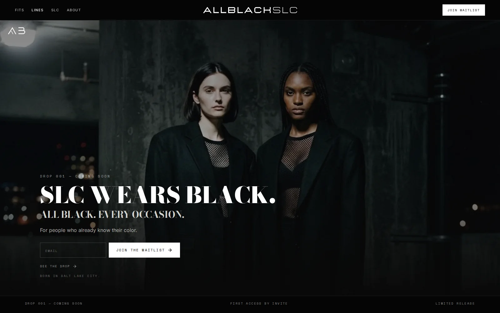 ALLBLACKSLC website